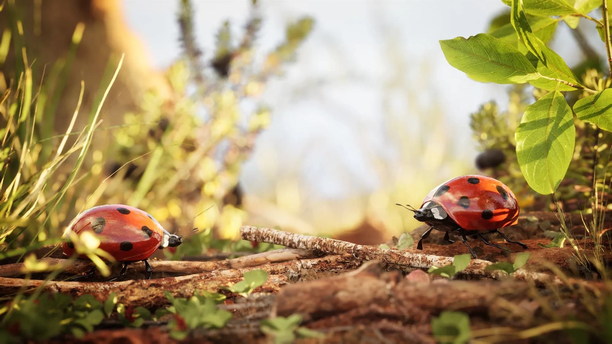 Interactieve 3D content — BBC interactive earth